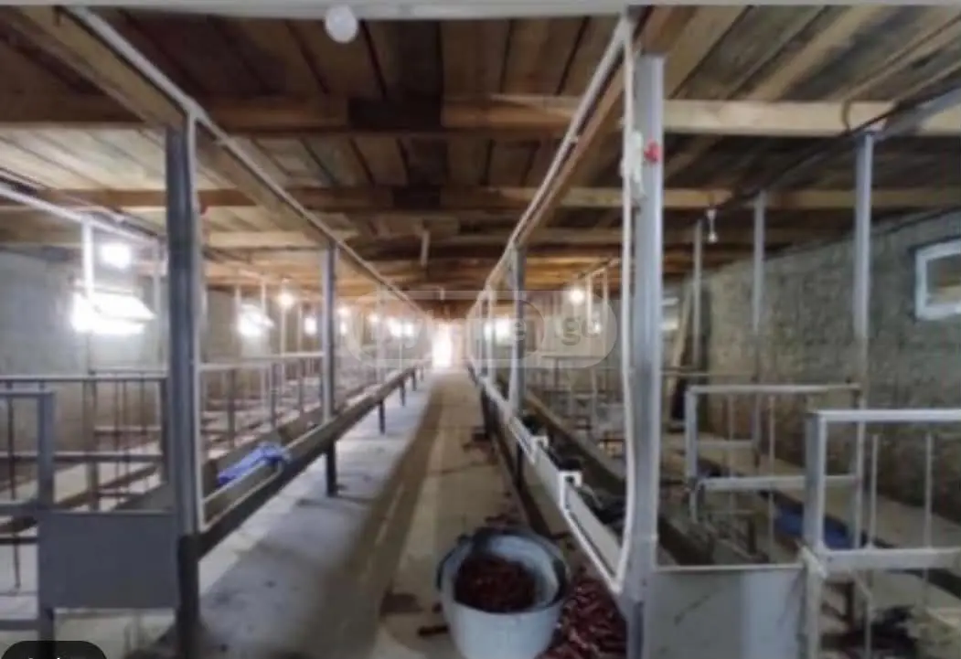 იყიდება Special Commercial Area In Kaspiში view 3