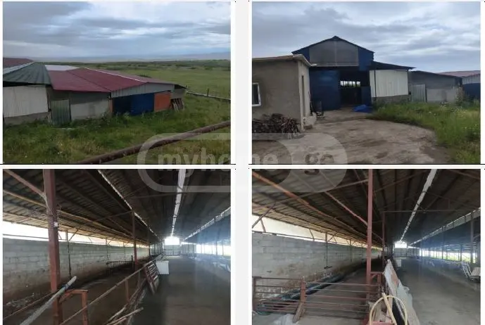Special Commercial Area For Sale In Tetritskaro view 1