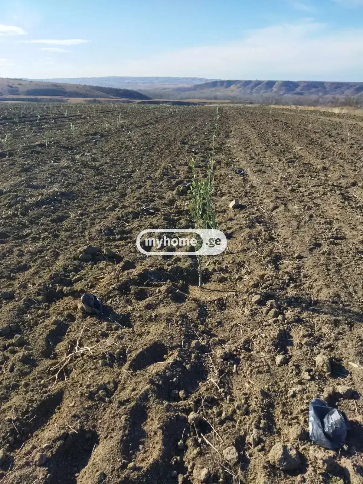 Investment / For Construction Plot For Sale In Arashenda, In Gurjaani Municipality view 2
