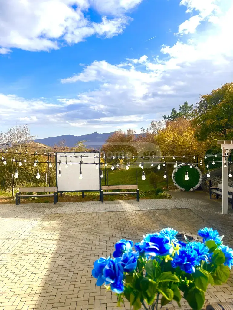 4 Room Country House Daily Rent In Vake view 7