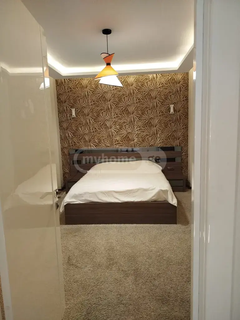 5 Room Country House Daily Rent In Chugureti view 11