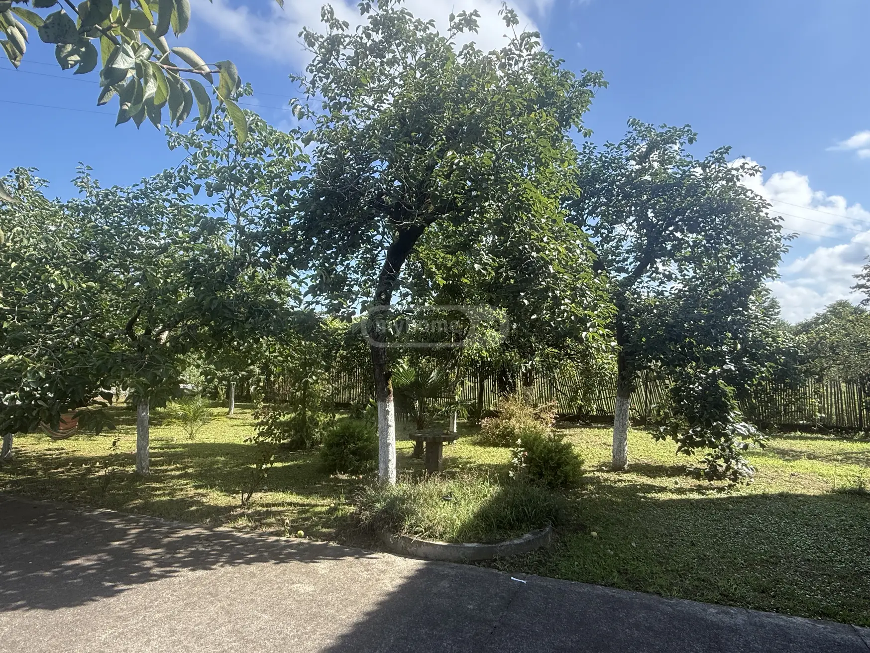 10+ Room Private House For Rent In Ozurgeti view 3