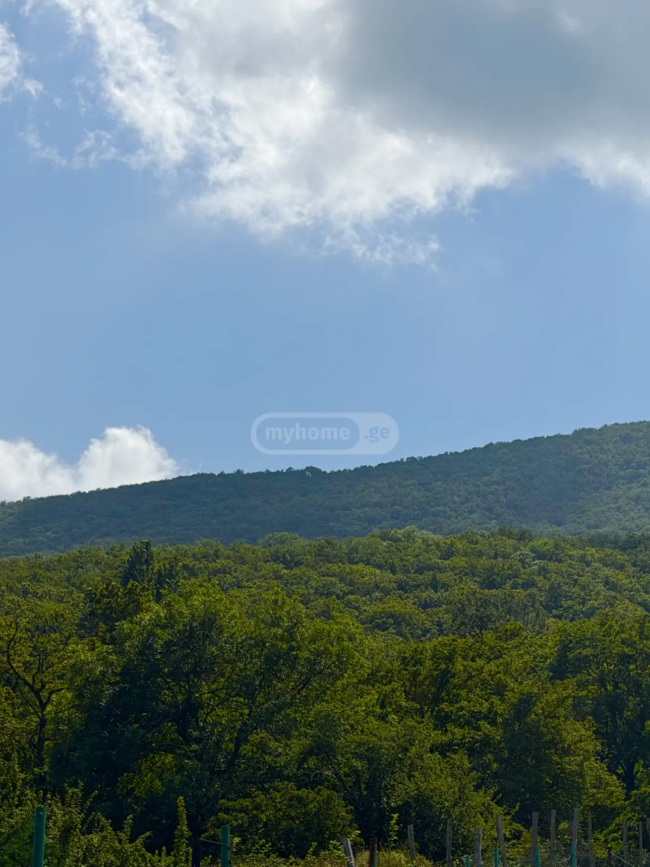4 Room Country House Daily Rent In Tsodoreti view 4