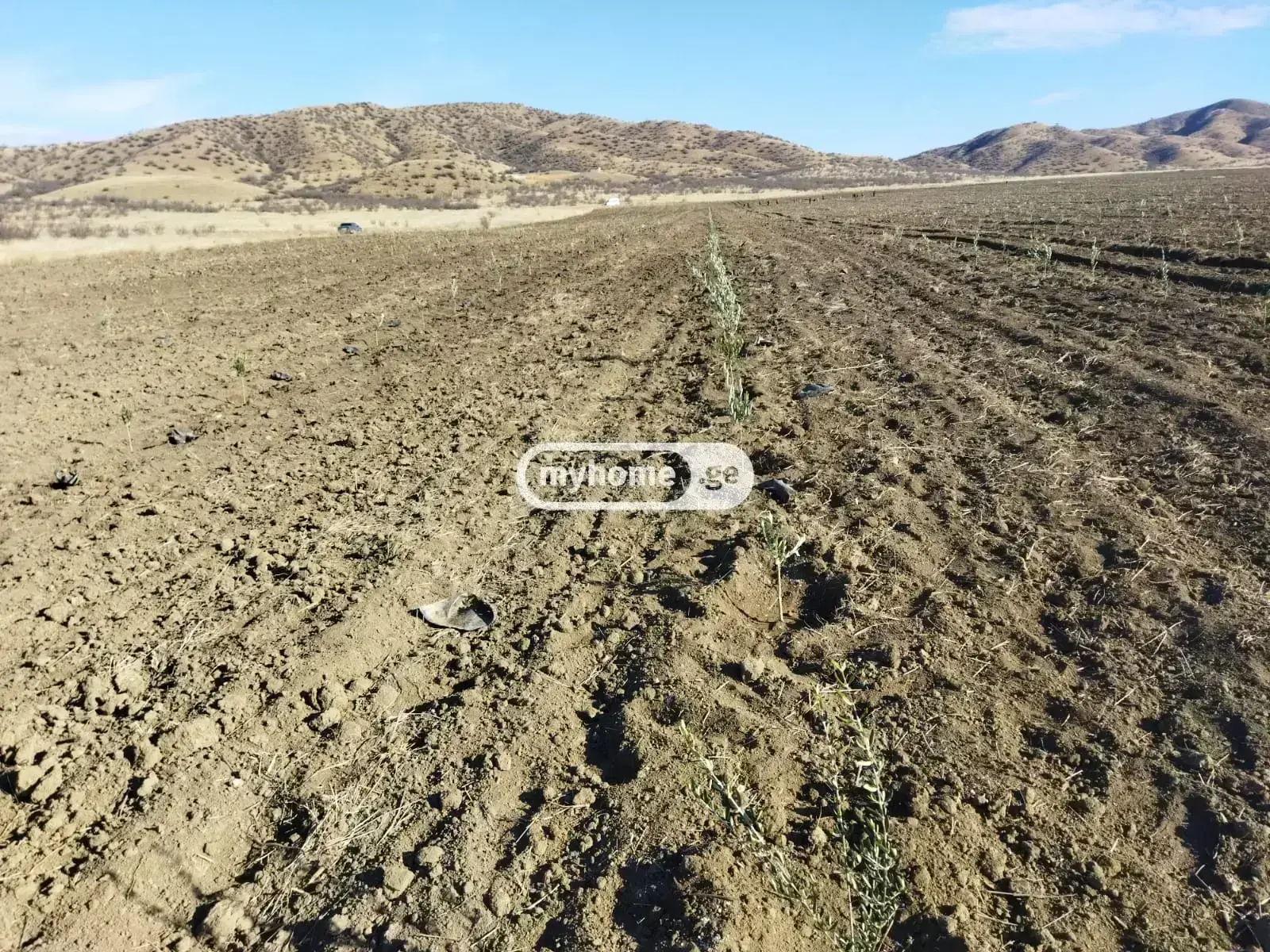 Investment / For Construction Plot For Sale In Arashenda, In Gurjaani Municipality view 1