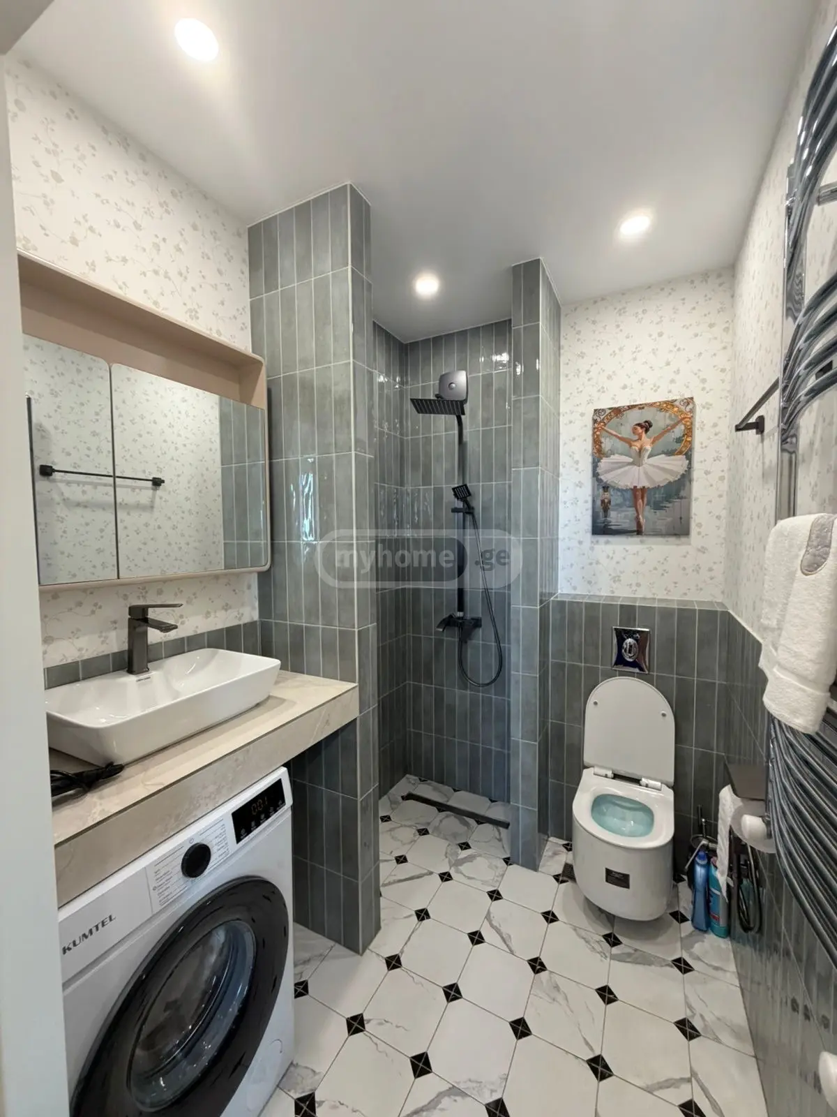 1 Room Apartment Daily Rent In Rustavi view 2