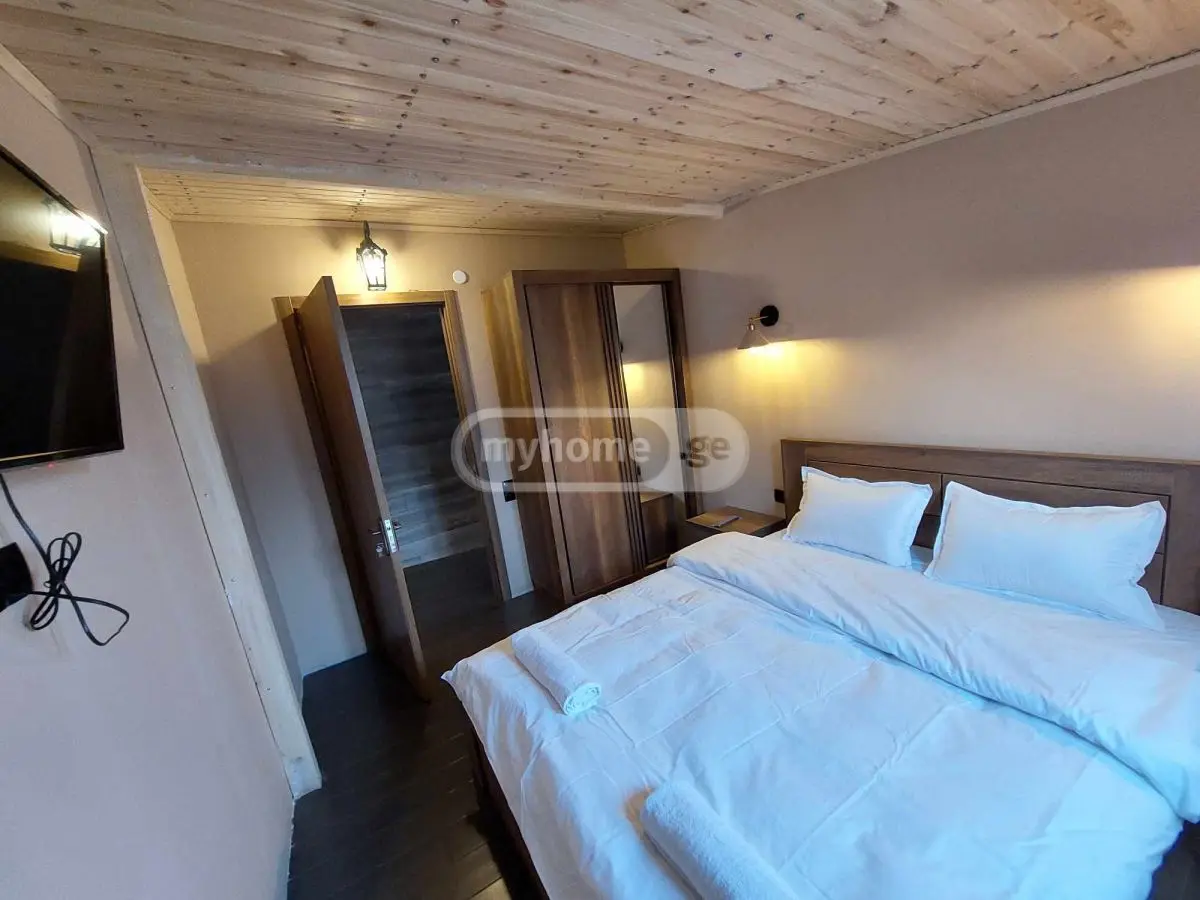 3 Room Country House Daily Rent In Didi Digomi view 30