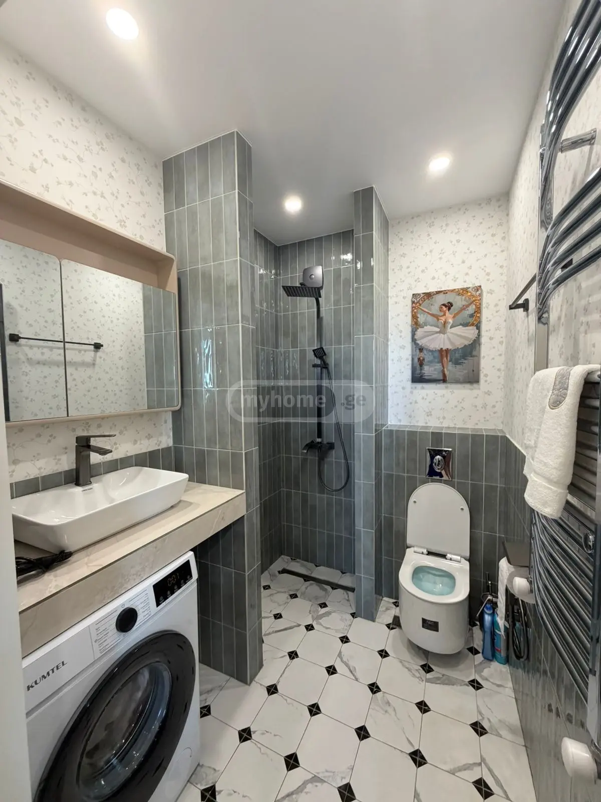 1 Room Apartment Daily Rent In Rustavi view 5