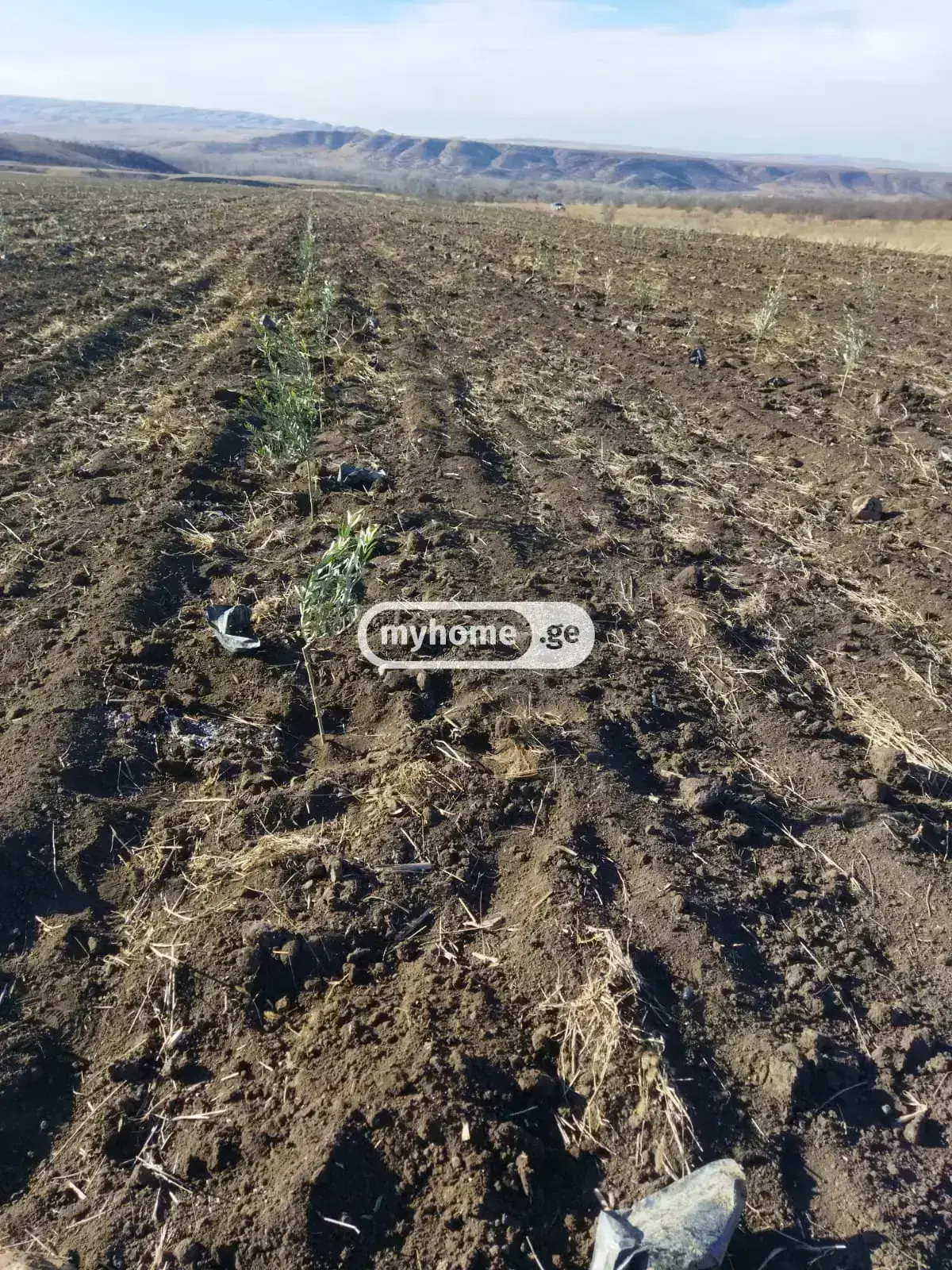 Investment / For Construction Plot For Sale In Arashenda, In Gurjaani Municipality view 3