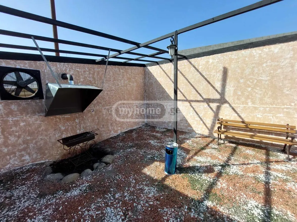 3 Room Country House Daily Rent In Didi Digomi view 24