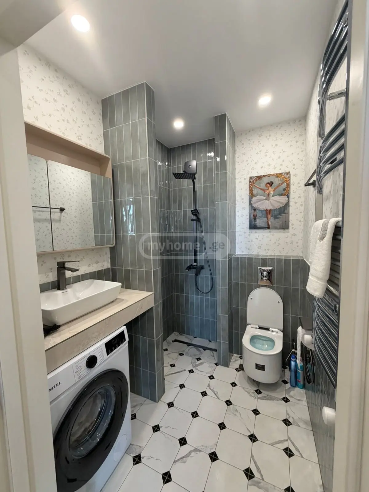 1 Room Apartment Daily Rent In Rustavi view 4