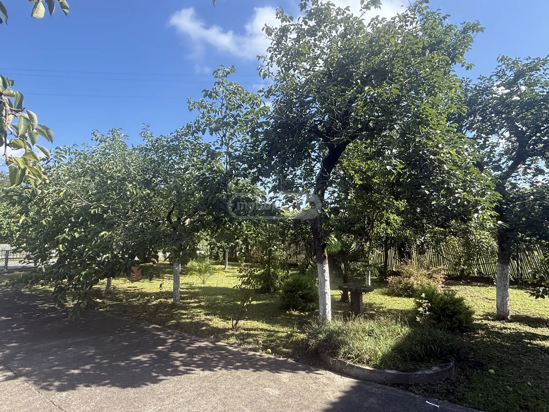 10+ Room Private House For Rent In Ozurgeti view 4