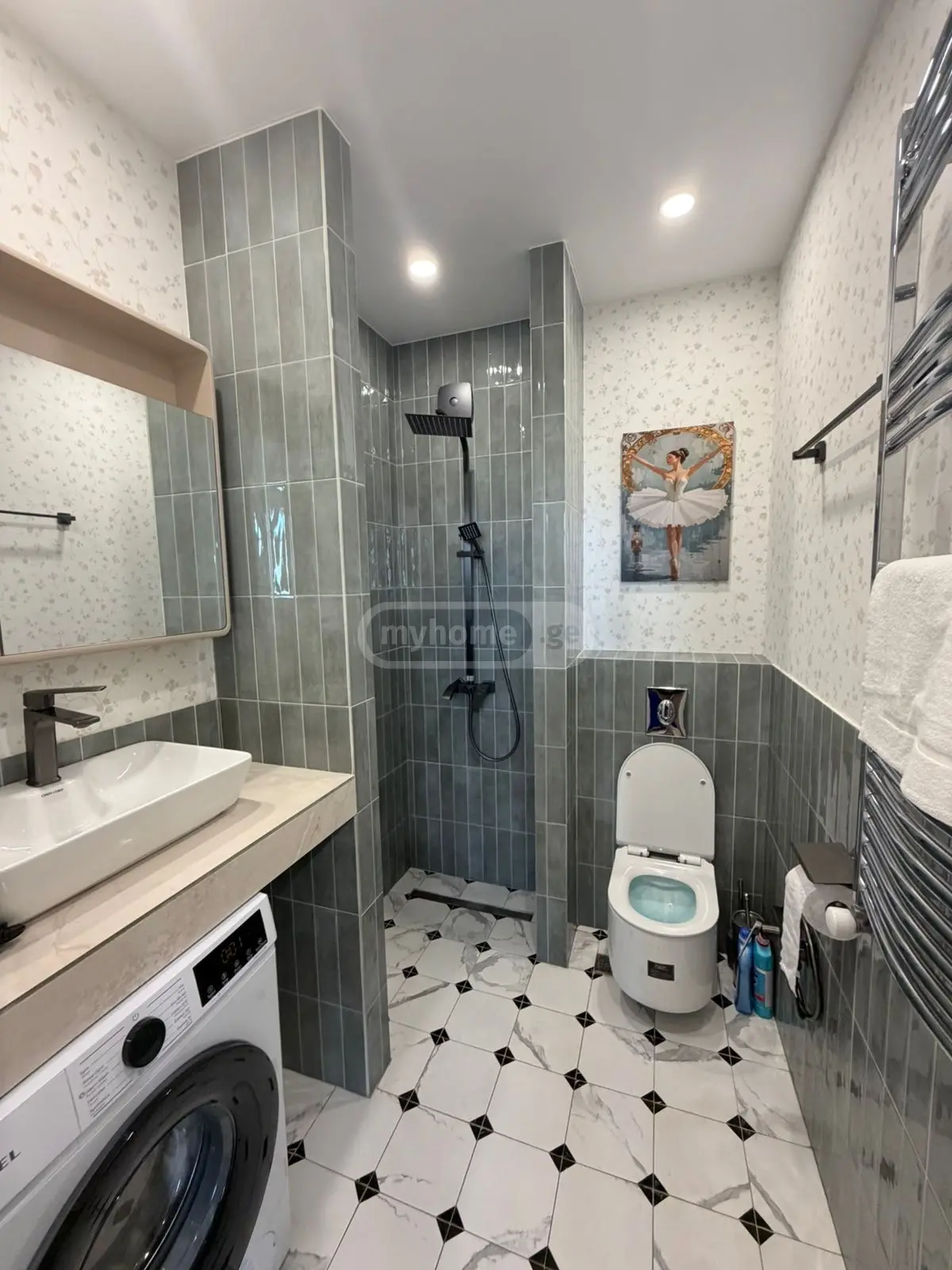 1 Room Apartment Daily Rent In Rustavi view 3