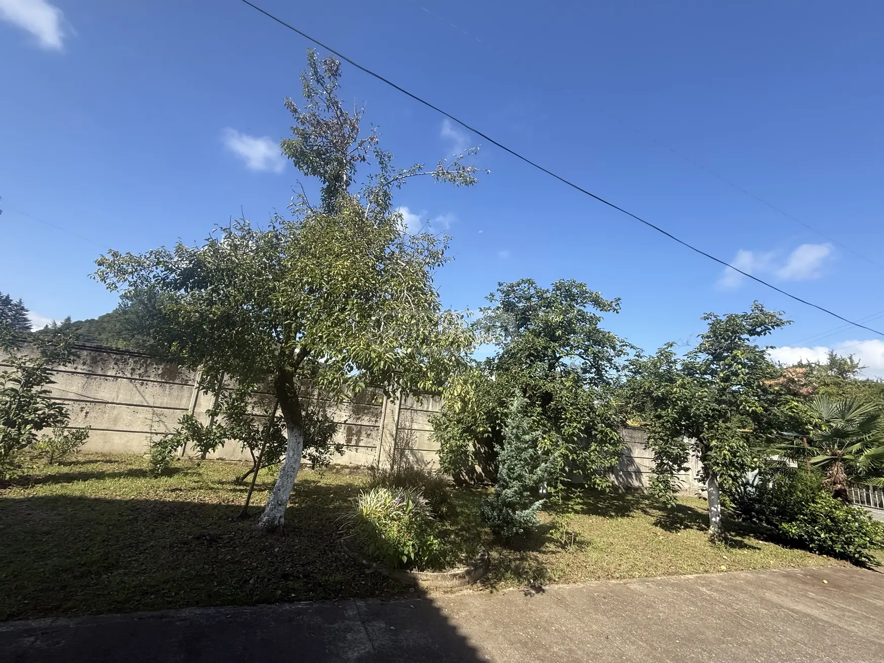 10+ Room Private House For Rent In Ozurgeti view 5