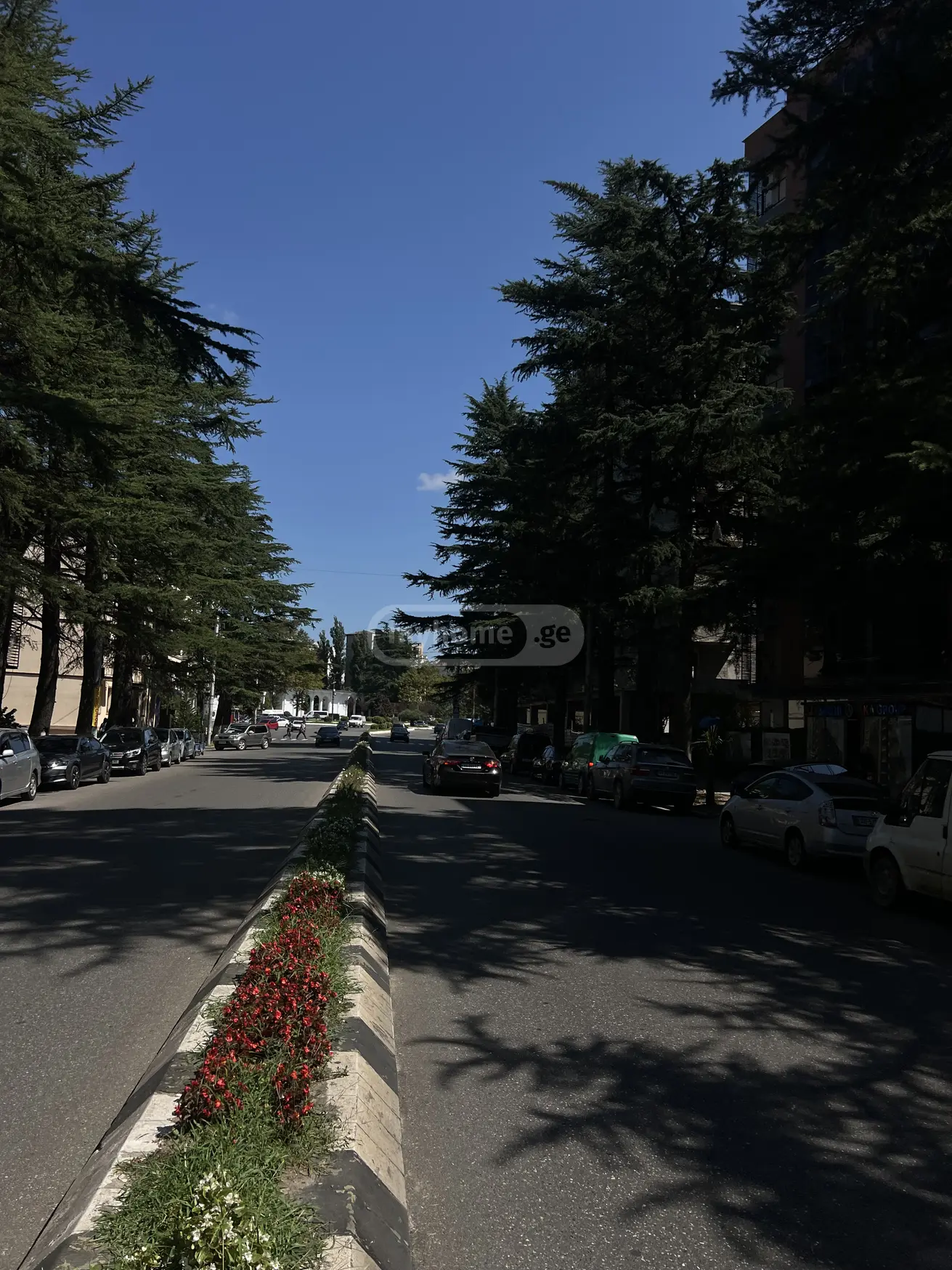 7 Room Hotel Daily Rent Zastava, In Qutaisi view 5