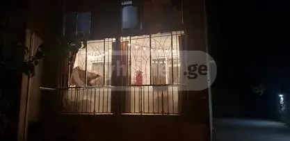 3 Room Apartment For Rent In Tskneti view 30