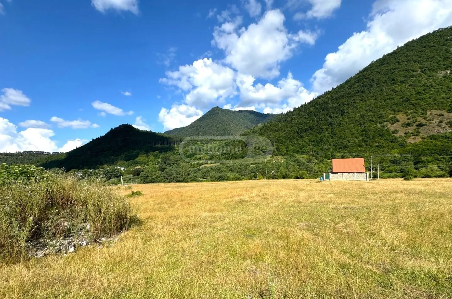 Non-Agricultural Plot For Sale In Borjomi view 4