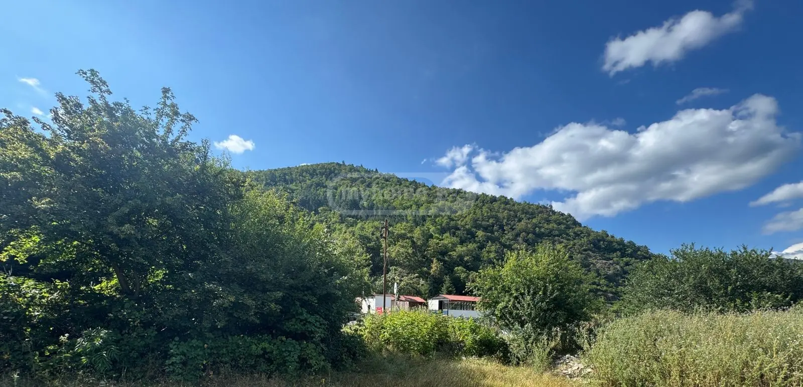 Non-Agricultural Plot For Sale In Borjomi view 5