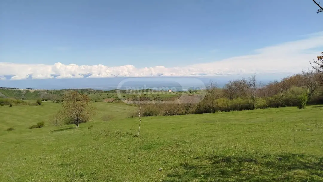 Agricultural Plot For Sale In Signagi view 6