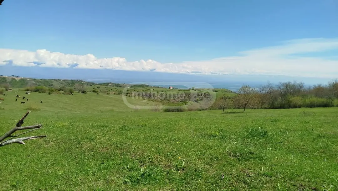Agricultural Plot For Sale In Signagi view 2