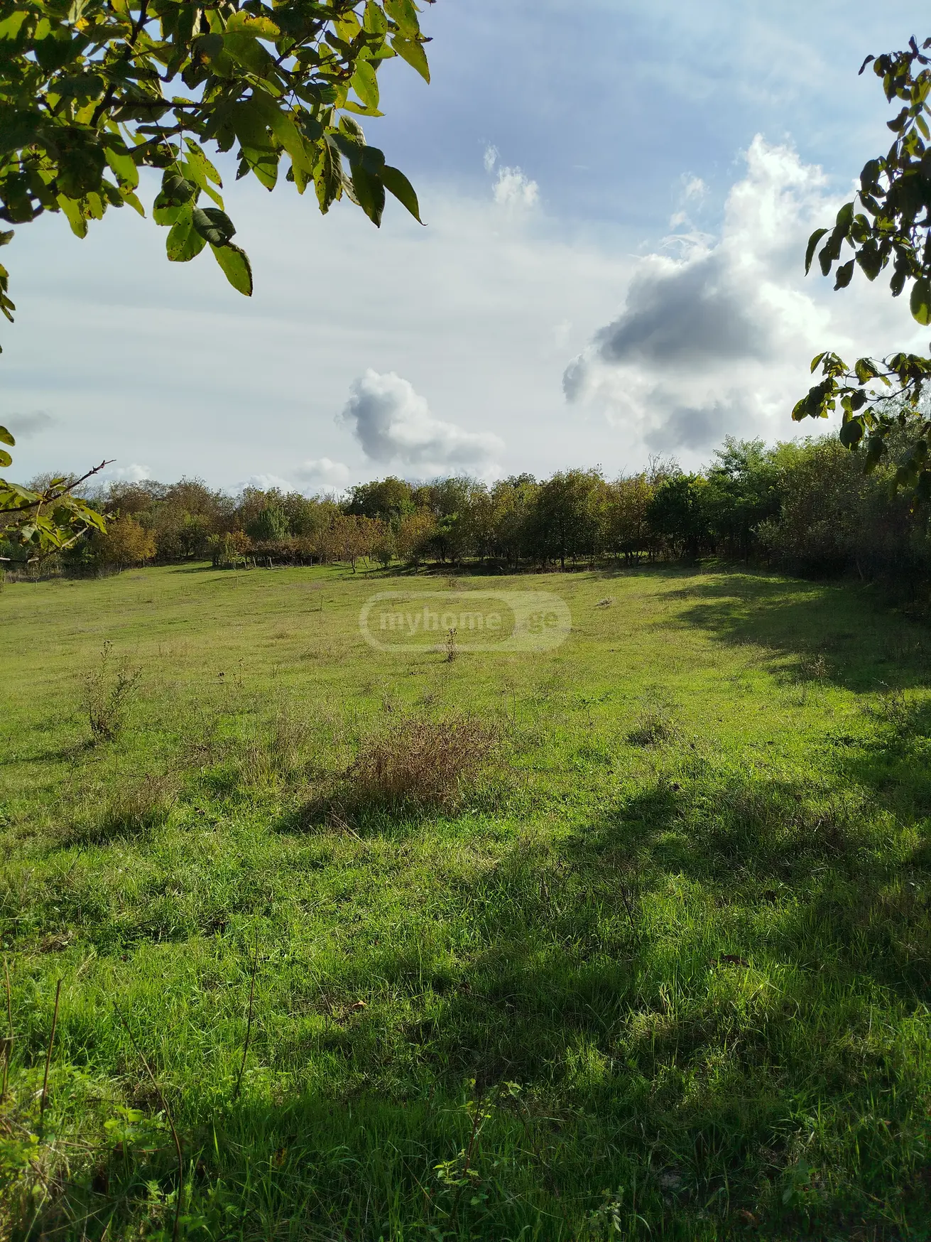 Agricultural Plot For Sale In Signagi view 5