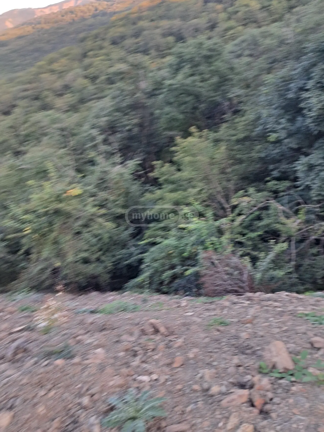 იყიდება Agricultural Plot In Orbeti, In Tetritskaro Municipalityში view 2