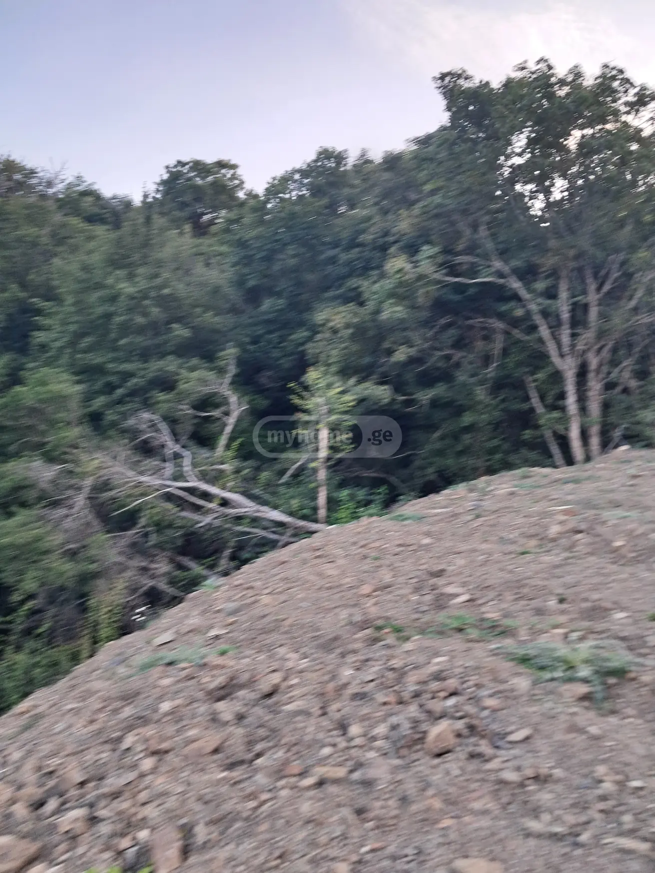 იყიდება Agricultural Plot In Orbeti, In Tetritskaro Municipalityში view 6