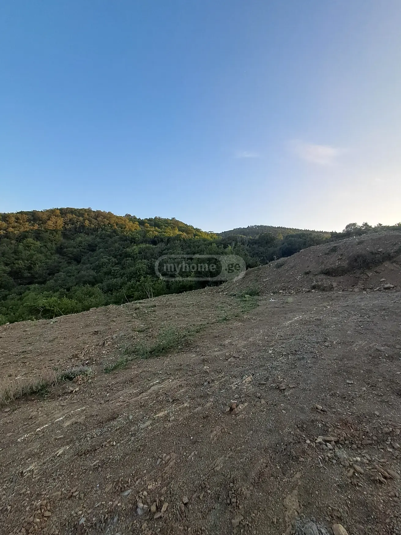 იყიდება Agricultural Plot In Orbeti, In Tetritskaro Municipalityში view 4
