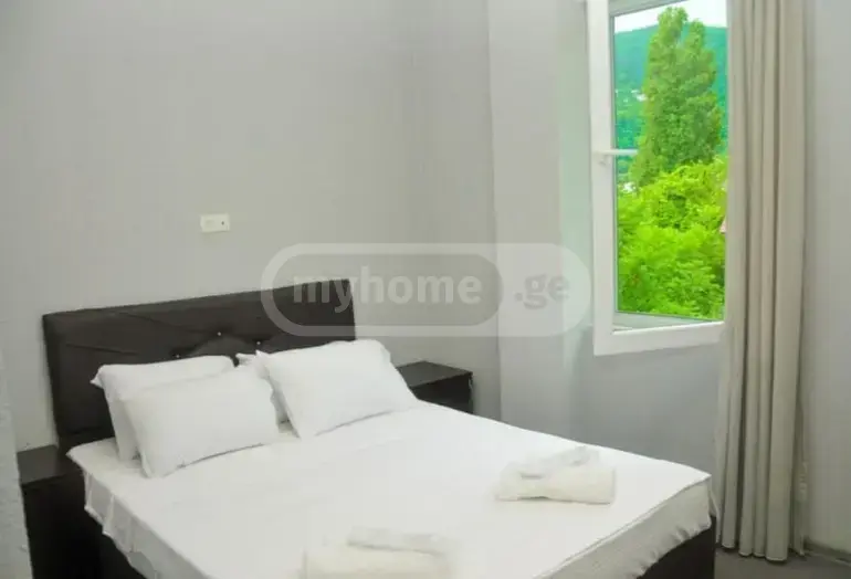 10+ Room Hotel For Sale In Khelvachauri Municipality view 9