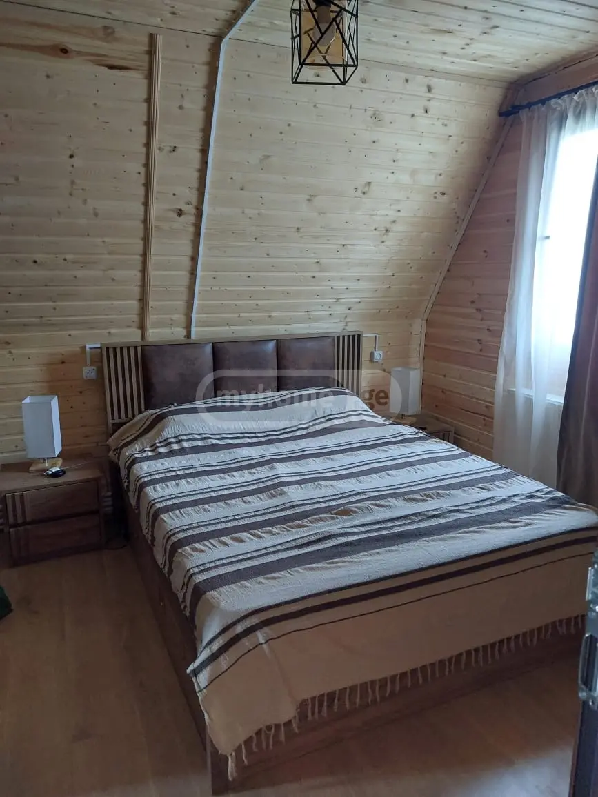 3 Room Country House Daily Rent In Saburtalo view 4