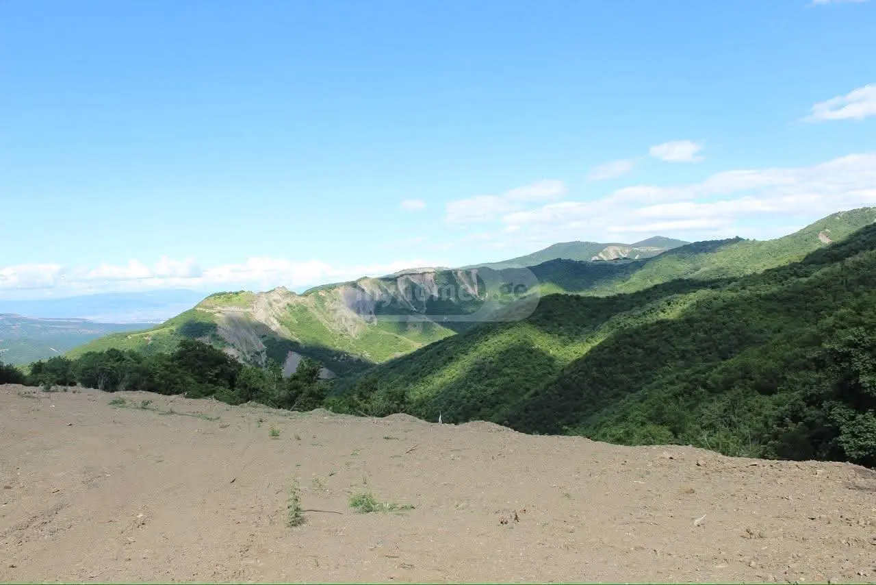 იყიდება Agricultural Plot In Orbeti, In Tetritskaro Municipalityში view 8