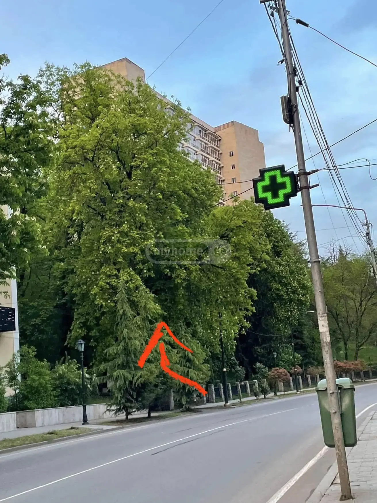 1 Room Apartment Daily Rent In Borjomi view 9