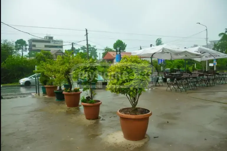 10+ Room Hotel For Sale In Khelvachauri Municipality view 11