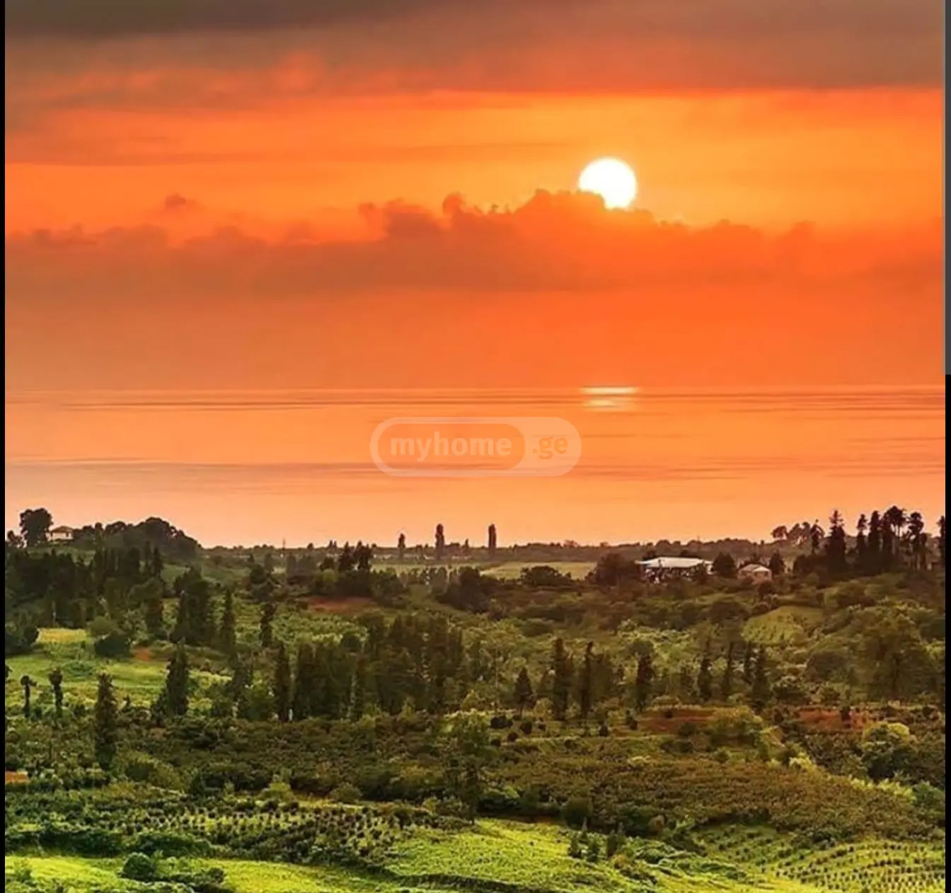Non-Agricultural Plot For Sale In Gonio, In Khelvachauri Municipality view 3