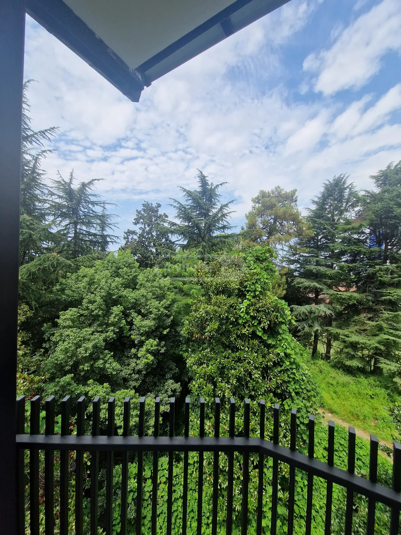 6 Room Hotel Daily Rent In Batumi view 9