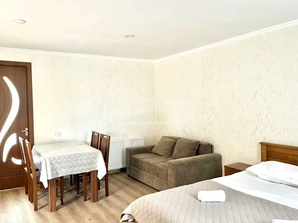 2 Room Country House Daily Rent In Lagodekhi view 3