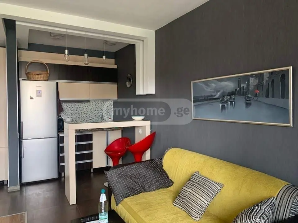 2 Room Apartment Daily Rent In Batumi view 6