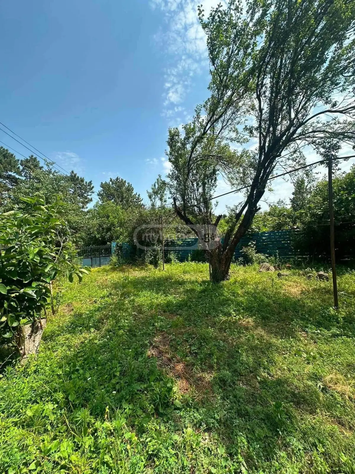6 Room Private House For Sale view 16