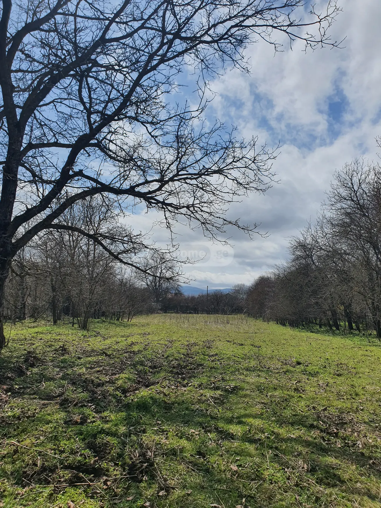 3 Room Country House For Sale view 15
