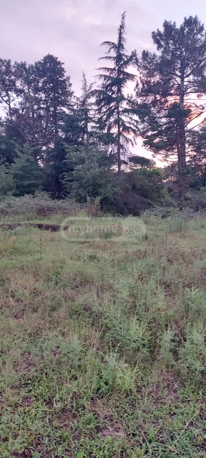 Non-Agricultural Plot For Sale In Shekvetili, In Ozurgeti Municipality view 1
