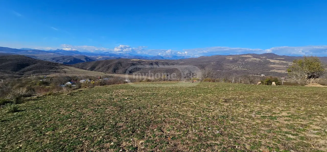 იყიდება Non-Agricultural Plot In Bulachauri, In Dusheti Municipalityში view 8
