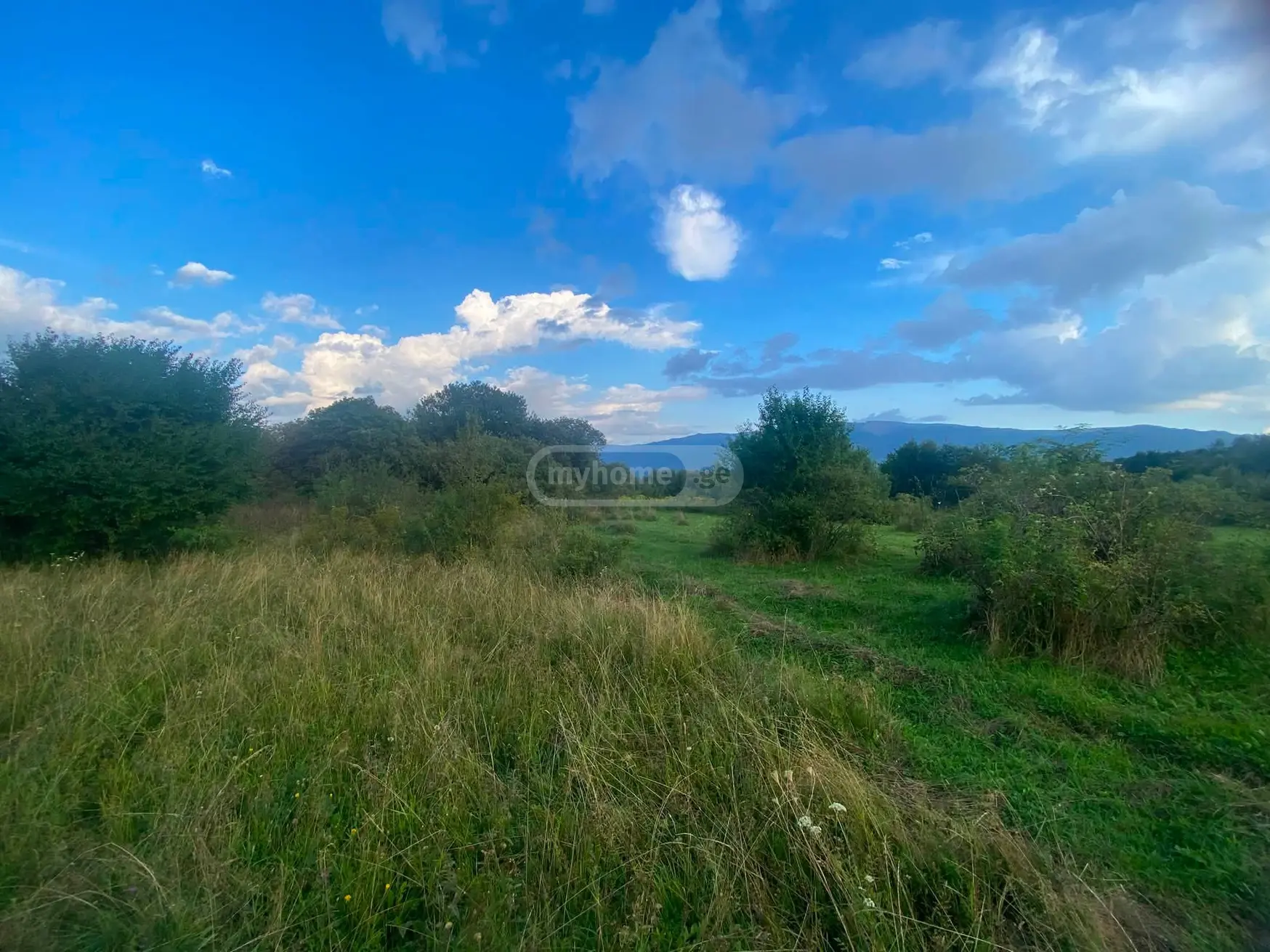 იყიდება Agricultural Plot In Tetri Tsklebi, In Telavi Municipalityში view 5