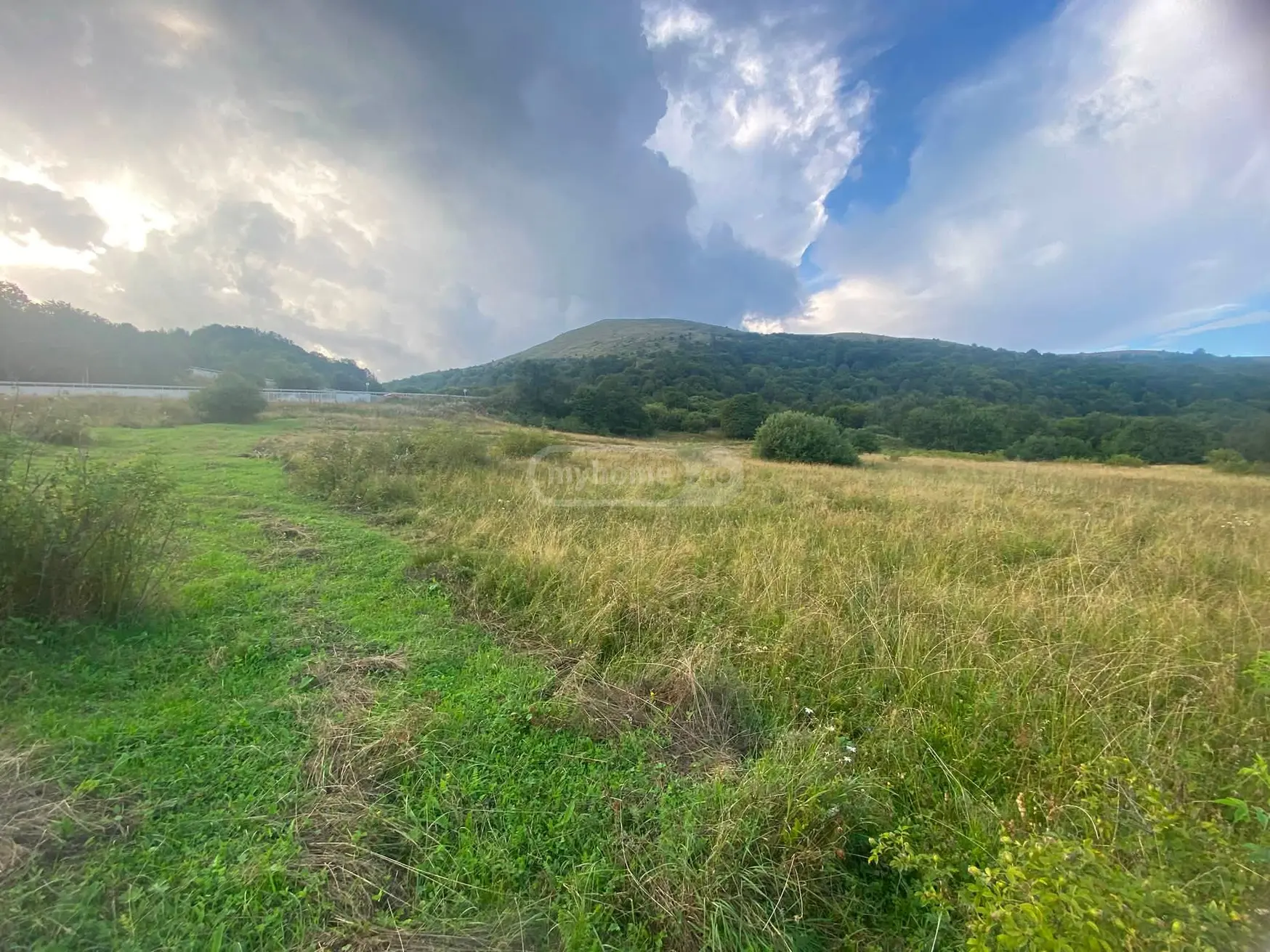 იყიდება Agricultural Plot In Tetri Tsklebi, In Telavi Municipalityში view 1