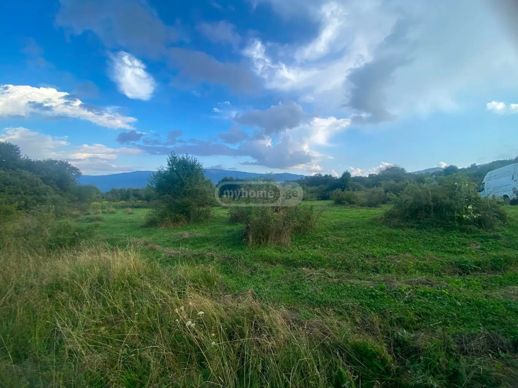 იყიდება Agricultural Plot In Tetri Tsklebi, In Telavi Municipalityში view 3