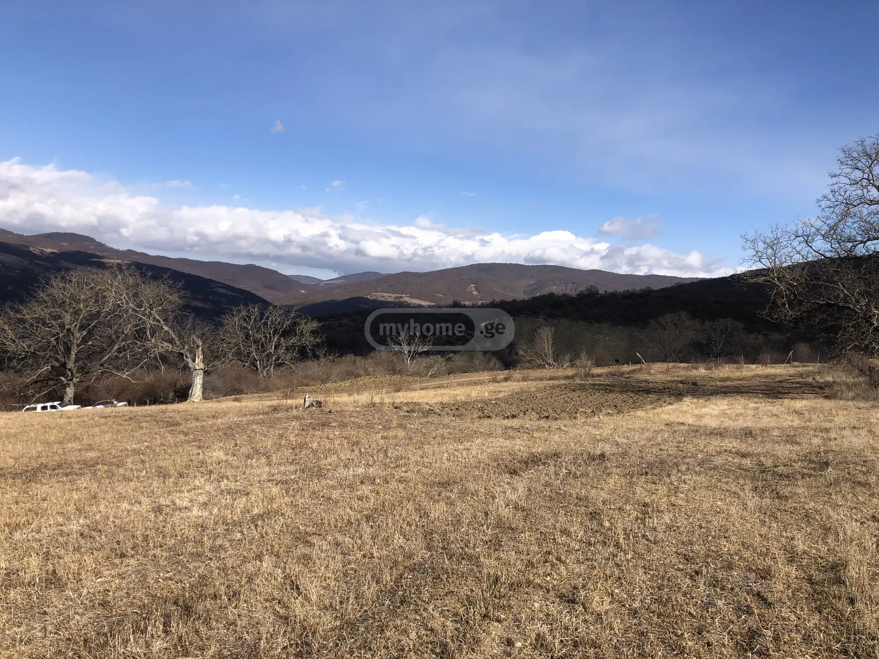 იყიდება Non-Agricultural Plot In Bulachauri, In Dusheti Municipalityში view 6