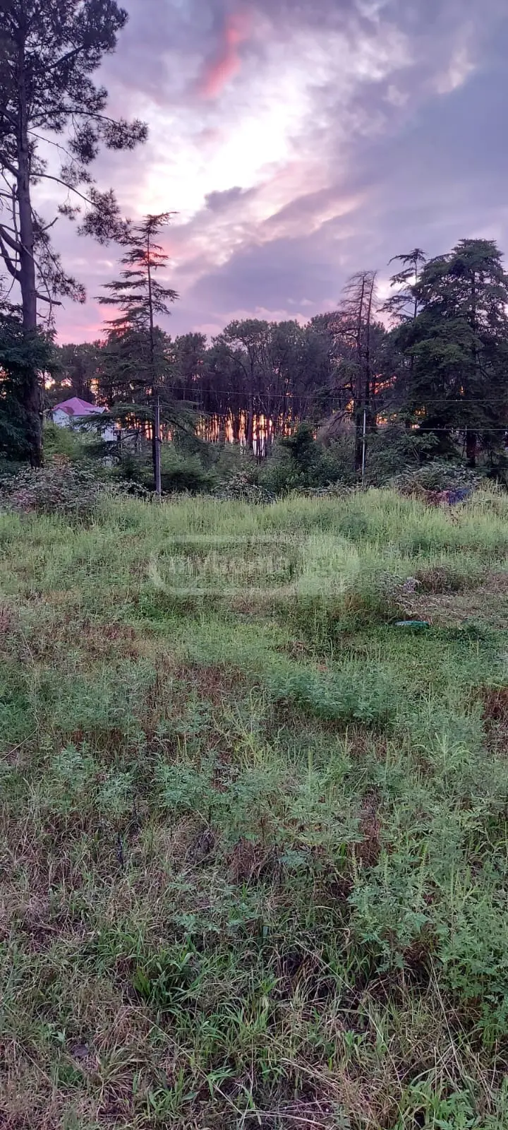 Non-Agricultural Plot For Sale In Shekvetili, In Ozurgeti Municipality view 5