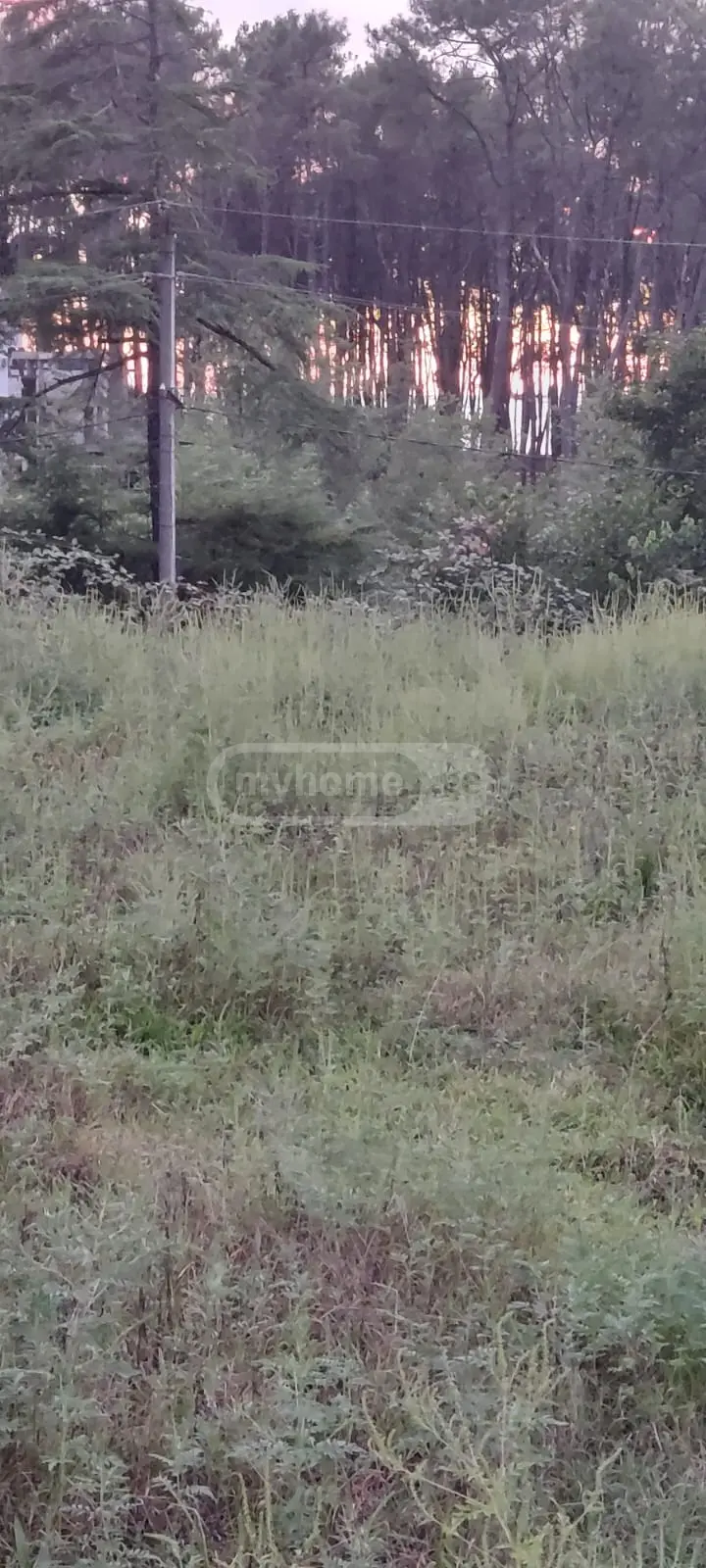 Non-Agricultural Plot For Sale In Shekvetili, In Ozurgeti Municipality view 2