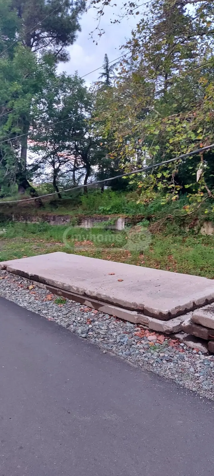 Non-Agricultural Plot For Sale In Shekvetili, In Ozurgeti Municipality view 6