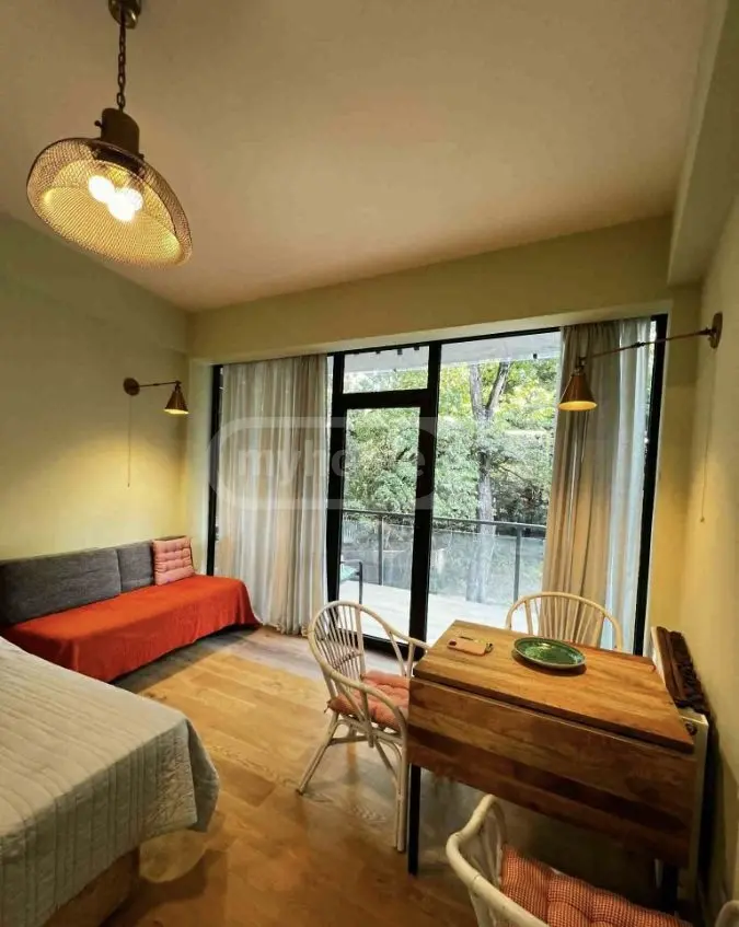 1 Room Apartment For Sale view 2