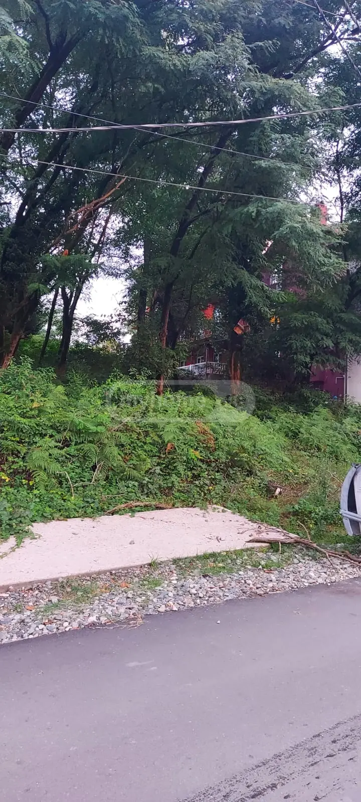 Non-Agricultural Plot For Sale In Shekvetili, In Ozurgeti Municipality view 4