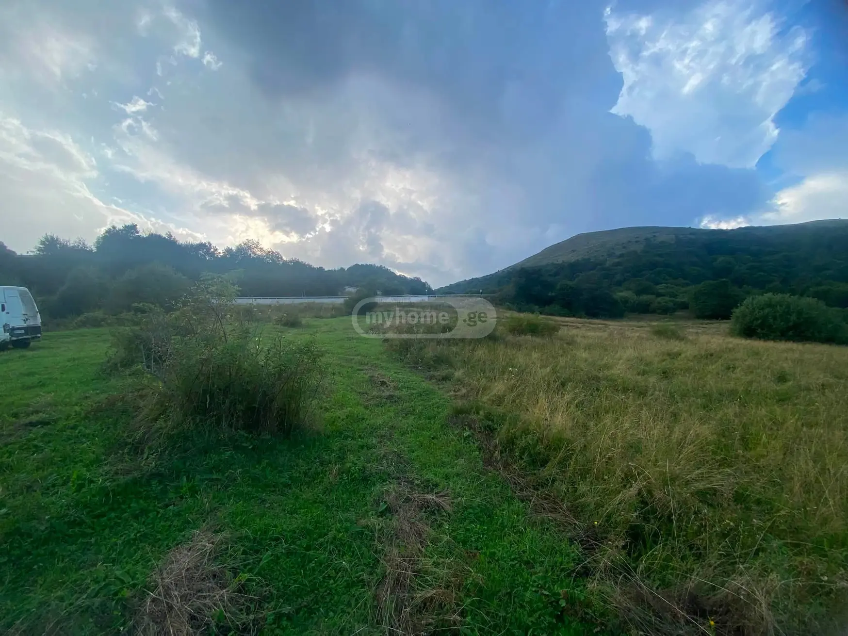 იყიდება Agricultural Plot In Tetri Tsklebi, In Telavi Municipalityში view 2